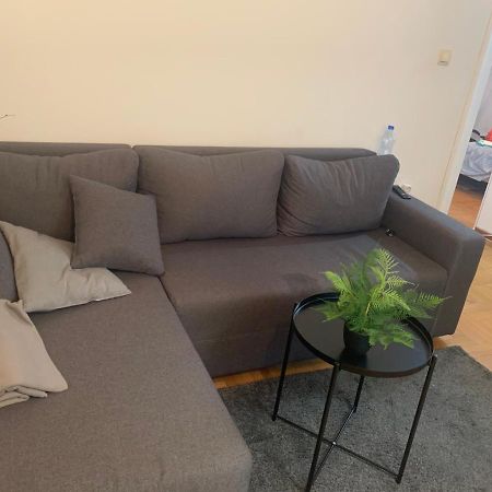 Vila Miletic Vrnjacka Banja Ngoại thất bức ảnh