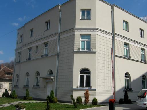 Vila Miletic Vrnjacka Banja Ngoại thất bức ảnh